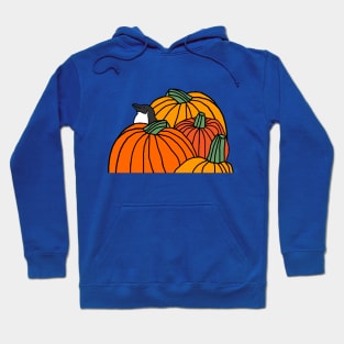 Four Pumpkins and a Penguin waiting for Halloween Hoodie